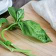 Basil Flavor Extract Without Diacetyl