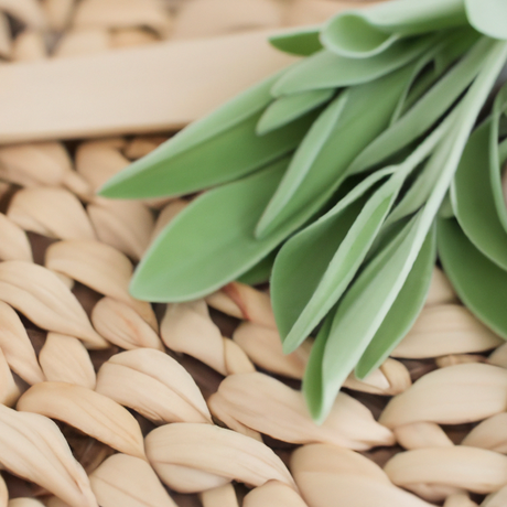 Sage Flavor Extract, Natural