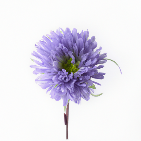 Violet Flavor Concentrate Without Diacetyl