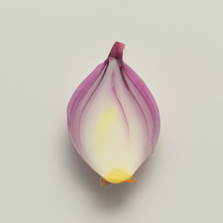 Onion Flavor Extract, Natural