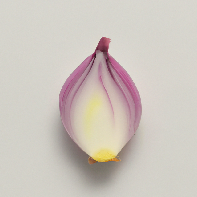 Onion Flavor Extract, Natural