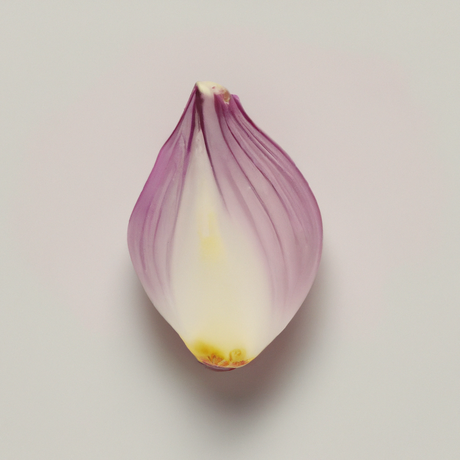 Onion Flavor Extract Without Diacetyl