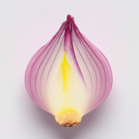 Organic Onion Flavor Extract Without Diacetyl