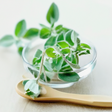 Oregano Flavor Extract, Natural