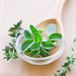 Organic Oregano Flavor Extract Without Diacetyl