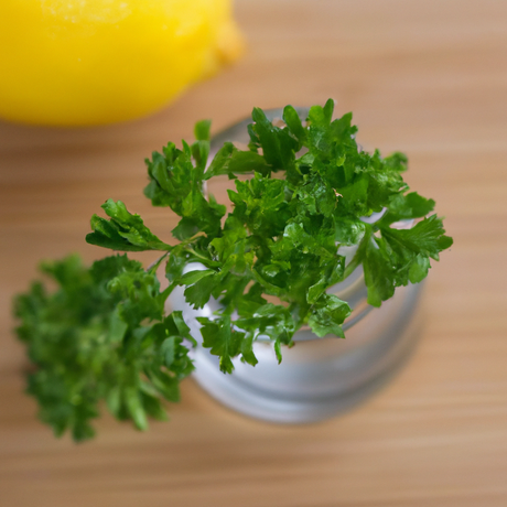 Organic Parsley Flavor Extract Without Diacetyl