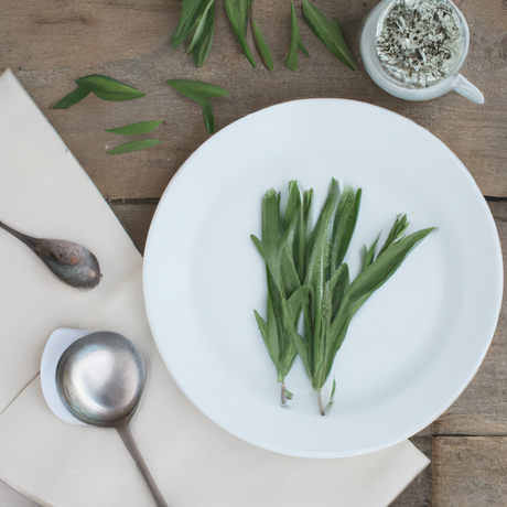 Organic Tarragon Leaf Flavor Extract Without Diacetyl