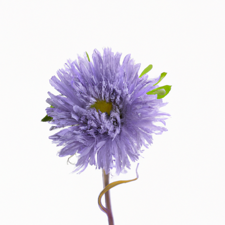 Organic Violet Flavor Extract Without Diacetyl