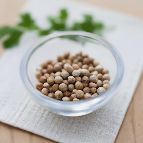 Coriander Flavor Powder (Sugar-Free), Organic