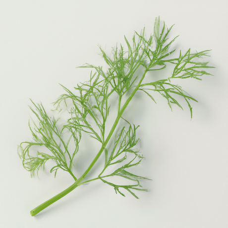 Dill Sugar Free Flavor Powder