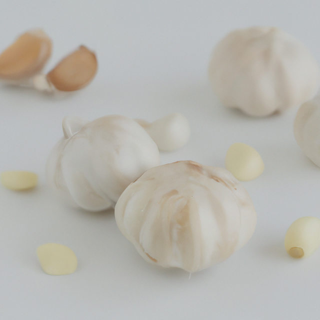 Garlic Sugar Free Flavor Powder