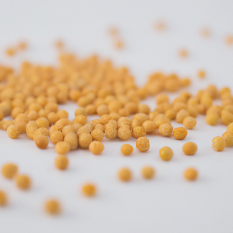 Mustard Seed Flavor Powder (Sugar-Free), Organic