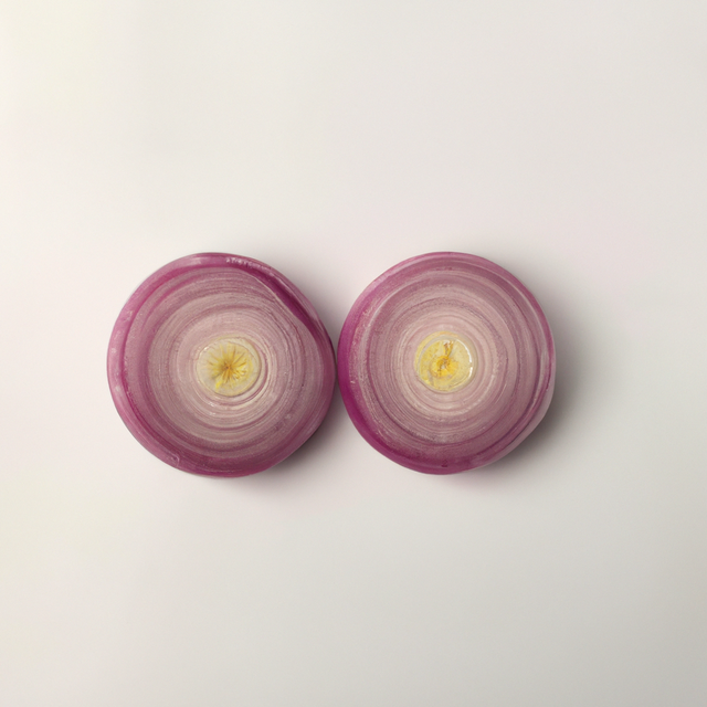 Onion Sugar Free Flavor Powder