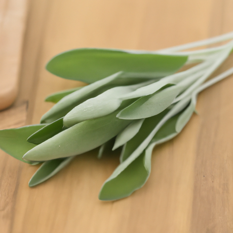 Sugar Free Sage Flavor Powder