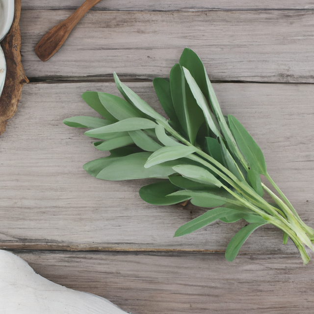 Sage Flavor Powder (Sugar-Free), Organic