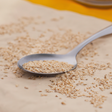 Sesame Seed Flavor Powder (Sugar-Free), Organic
