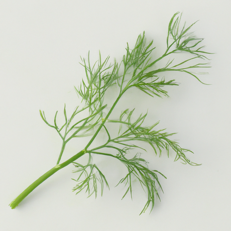 Dill Flavor Powder, Natural