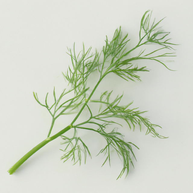 Dill Flavor Powder, Natural