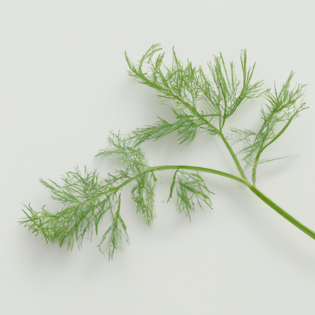 Dill Flavor Powder, Organic