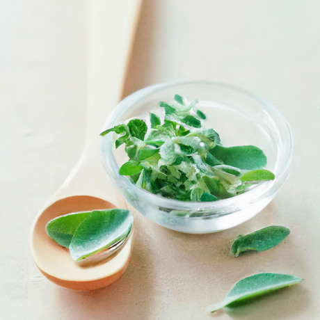 Oregano Flavor Powder, Natural