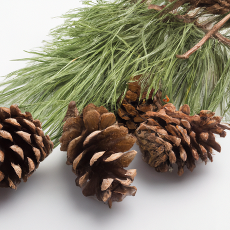 Christmas Fragrance Oil (Alcohol Soluble), Organic