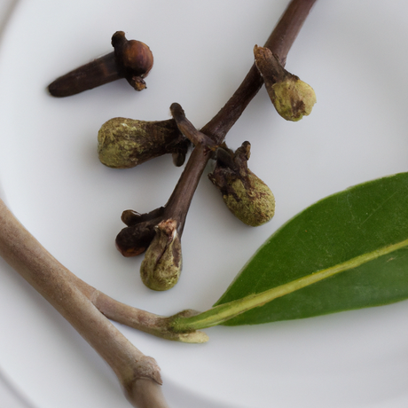 Orange Clove Fragrance Oil (Alcohol Soluble)