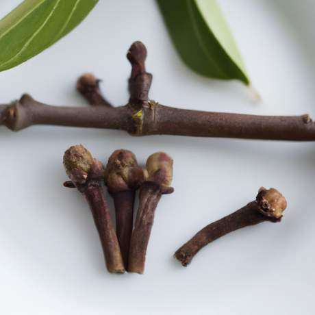 Organic Orange Clove Fragrance Emulsion (Water Soluble)