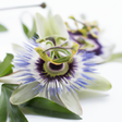 Organic Passion Flowers Fragrance Emulsion (Water Soluble)