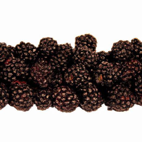 Xylitol Boysenberry Smoothie/Shake Base (Kosher, Vegan, Gluten Free)