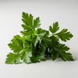 Parsley Seed Essential Oil, Natural