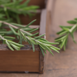 Rosemary Flavor Extract, Natural