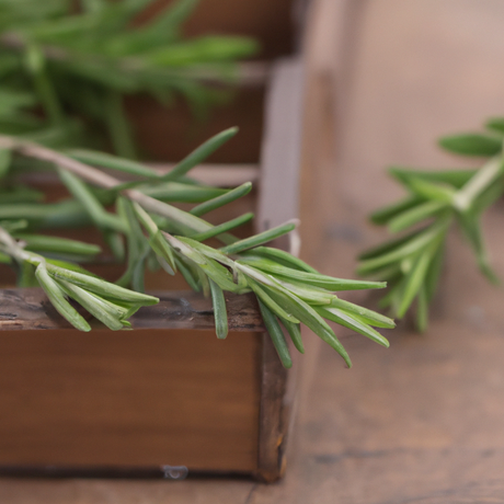 Rosemary Flavor Extract, Natural