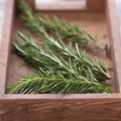Rosemary Flavor Extract, Organic