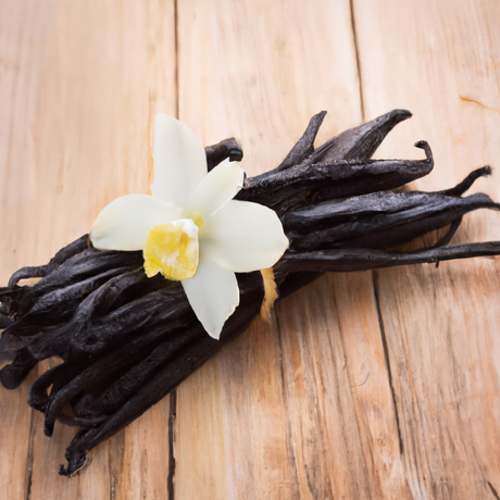 Creamy Vanilla Fragrance Oil (Alcohol Soluble)