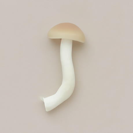 Mushroom Flavor Oil, Natural