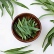 Tarragon Leaf Flavor Concentrate Without Diacetyl
