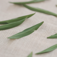 Organic Tarragon Leaf Flavor Concentrate Without Diacetyl