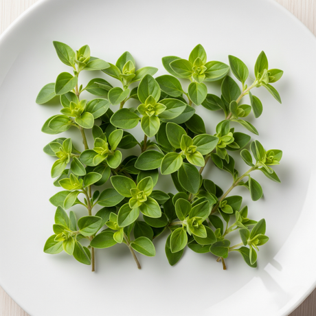 Marjoram Flavor Concentrate, Natural