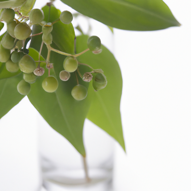 Wintergreen Super Concentrated Flavor Powder (3X Fold)