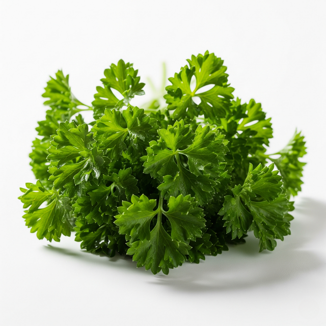 Parsley Flavor Concentrate, Organic