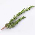 Rosemary Fragrance Oil (Oil Soluble)