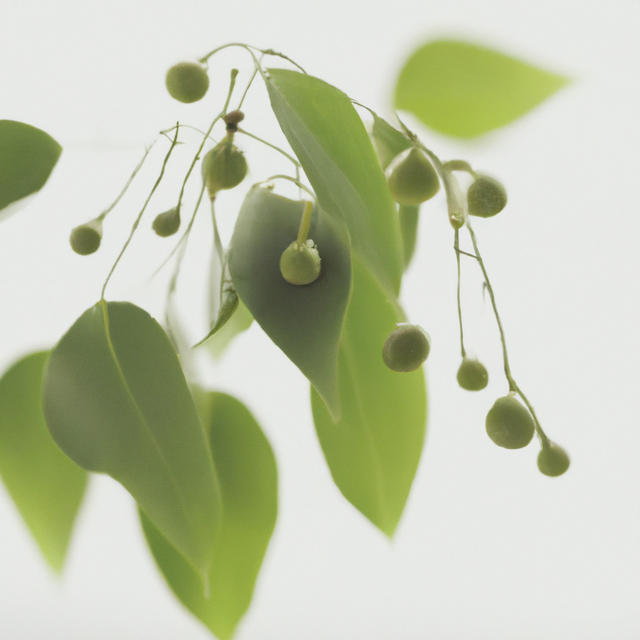 Wintergreen Coffee and Tea Flavoring Without Diacetyl