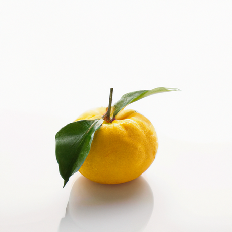 Yuzu Flavor Extract, Organic