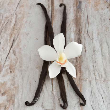 Vanilla Cupcake Flavor Oil, Organic