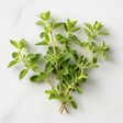 Marjoram Flavor Powder, Organic