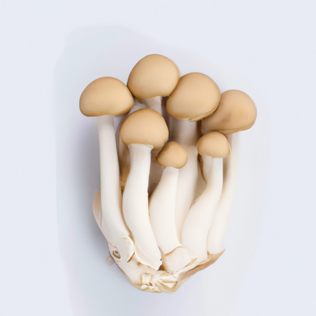 Mushroom Flavor Concentrate, Organic