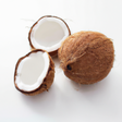 Coconut Flavor Concentrate Without Diacetyl