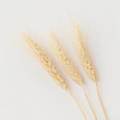 Organic Malt Cotton Candy Floss Sugar