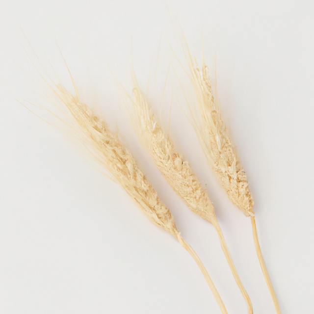 Organic Malt Cotton Candy Floss Sugar