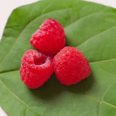 Organic Raspberry Coffee and Tea Flavoring